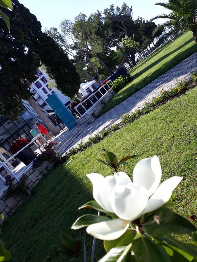 Apartments Star With Pool Biograd Na Moru Exterior foto